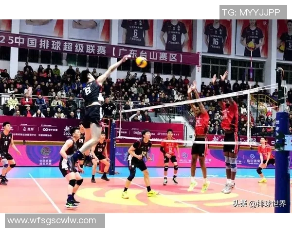 武汉排球队意识变革引发热议推动排球运动新发展与团队精神提升