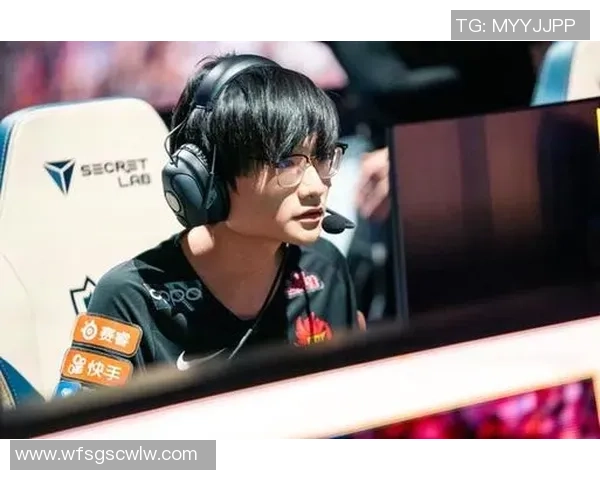 数据分析：FPX的个人能力表现