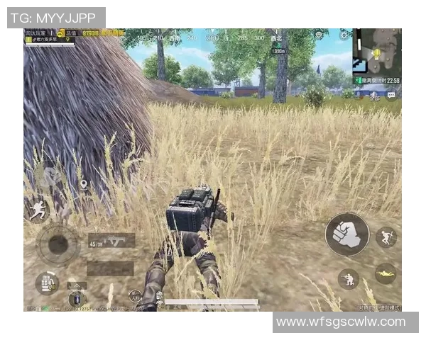 和平精英深度：解密WE的边路渗透