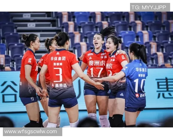 排球专题：聚焦深圳排球队的节奏