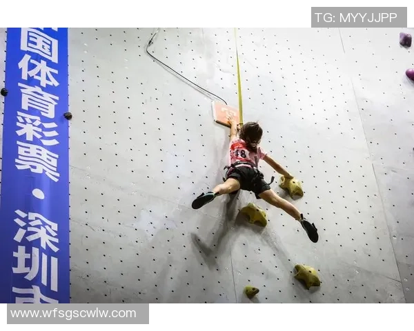 攀岩联赛积分榜：北京街舞队以74分领跑